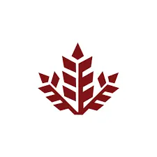 Adnan%20Rizki%20 %20Decoding%20digital,%20optimizing%20growth,%20elevating%20brands